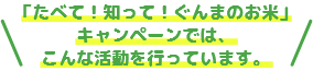 「たべて！知って！ぐんまのお米」キャンペーンでは、こんな活動を行っています。